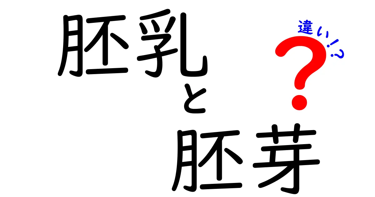 胚乳と胚芽の違いを一気に理解！食べ物の中の秘密をやさしく解説