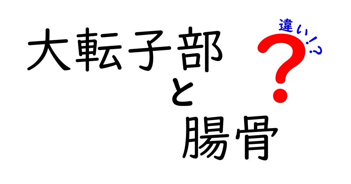 大転子部と腸骨の違いを理解する：部位別の役割と見分け方をわかりやすく解説
