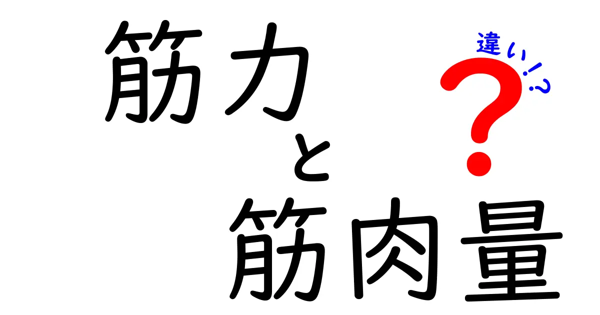 筋力と筋肉量の違いを徹底解説！この2つを正しく鍛える方法を知ろう