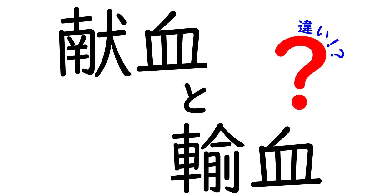 献血と輸血の違いを徹底解説！誰がいつ必要で、体にはどんな影響があるのかをやさしく理解しよう