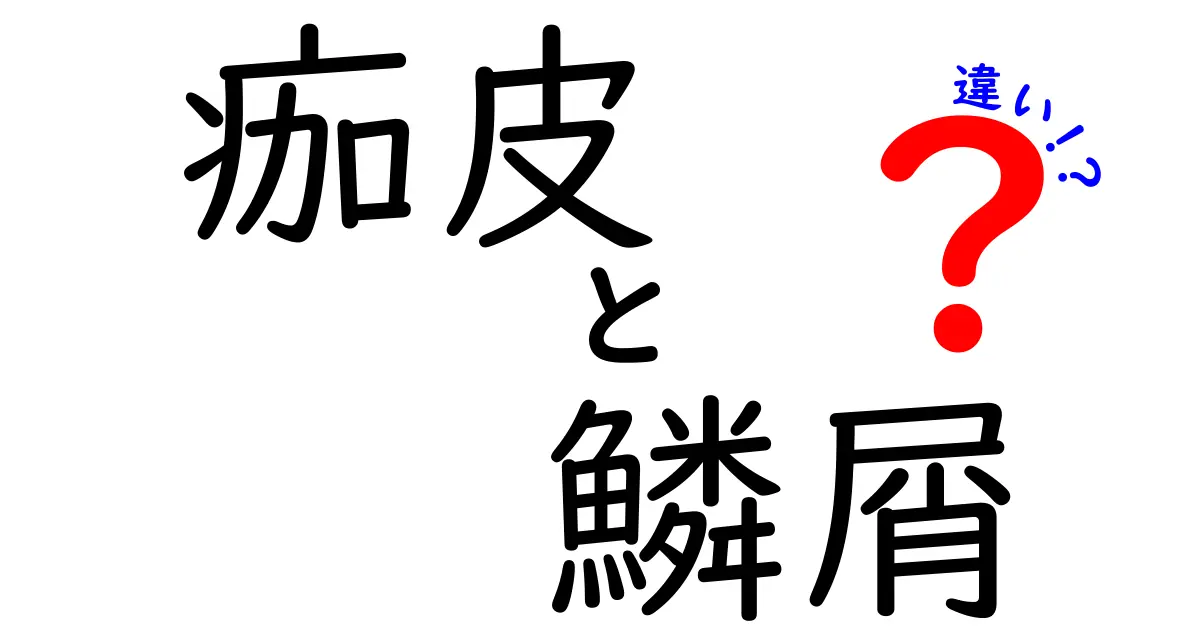 痂皮と鱗屑の違いを図解で完全解説！これで見分けがつく3つのポイント