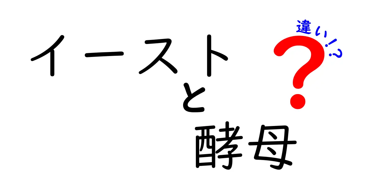 イーストと酵母の違いをわかりやすく解説！パン作り初心者でもすぐ分かるポイント