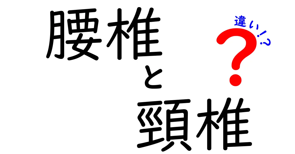 腰椎と頸椎の違いを徹底解説：痛みの原因と正しいケア方法を中学生にもわかる図解付き