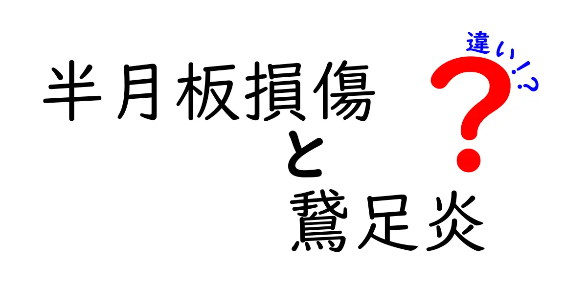 半月板損傷と鵞足炎の違いを徹底解説！膝の痛みの正体を見極める3つのポイント