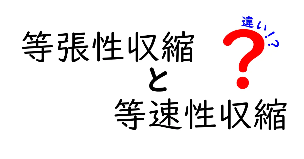 等張性収縮と等速性収縮の違いを徹底解説！中学生にもわかる図解付きガイド