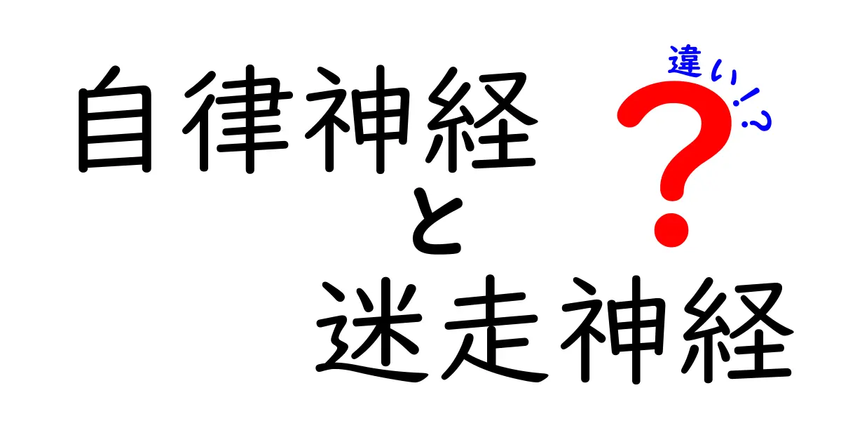 自律神経と迷走神経の違いを徹底解説！中学生にもわかる3つのポイント