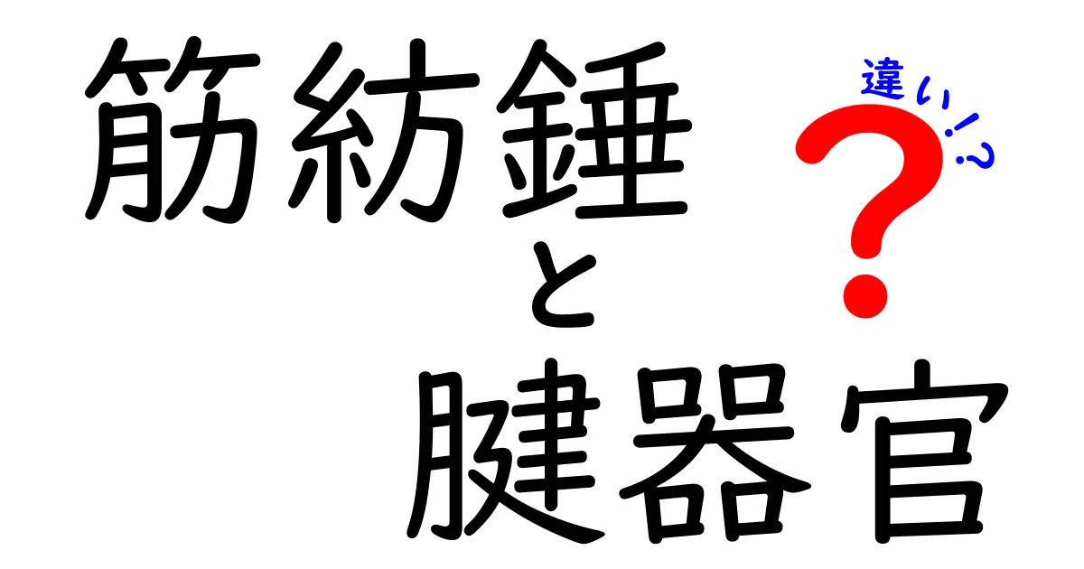 筋紡錘と腱器官の違いを徹底解説：運動の秘密を解く2つのセンサー入門