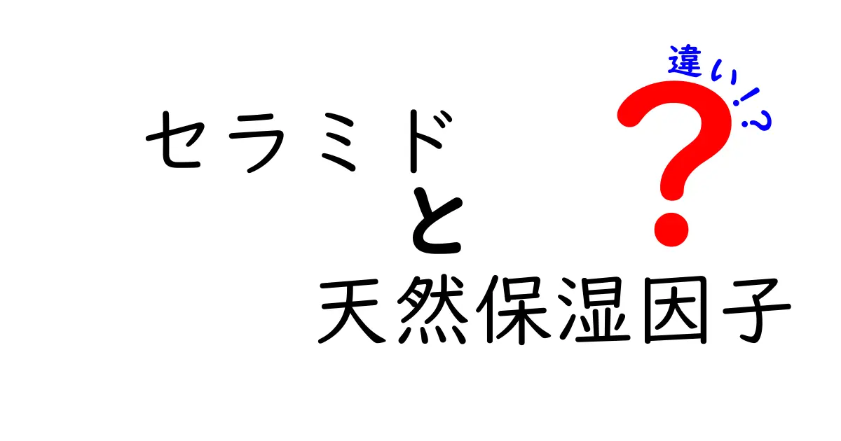 セラミドと天然保湿因子の違いをわかりやすく解説｜肌のうるおいの秘密を徹底比較