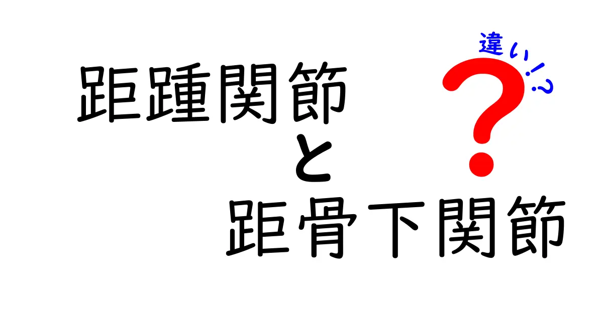 距踵関節と距骨下関節の違いを徹底解説—足首のしくみを中学生にもわかる言葉で解説