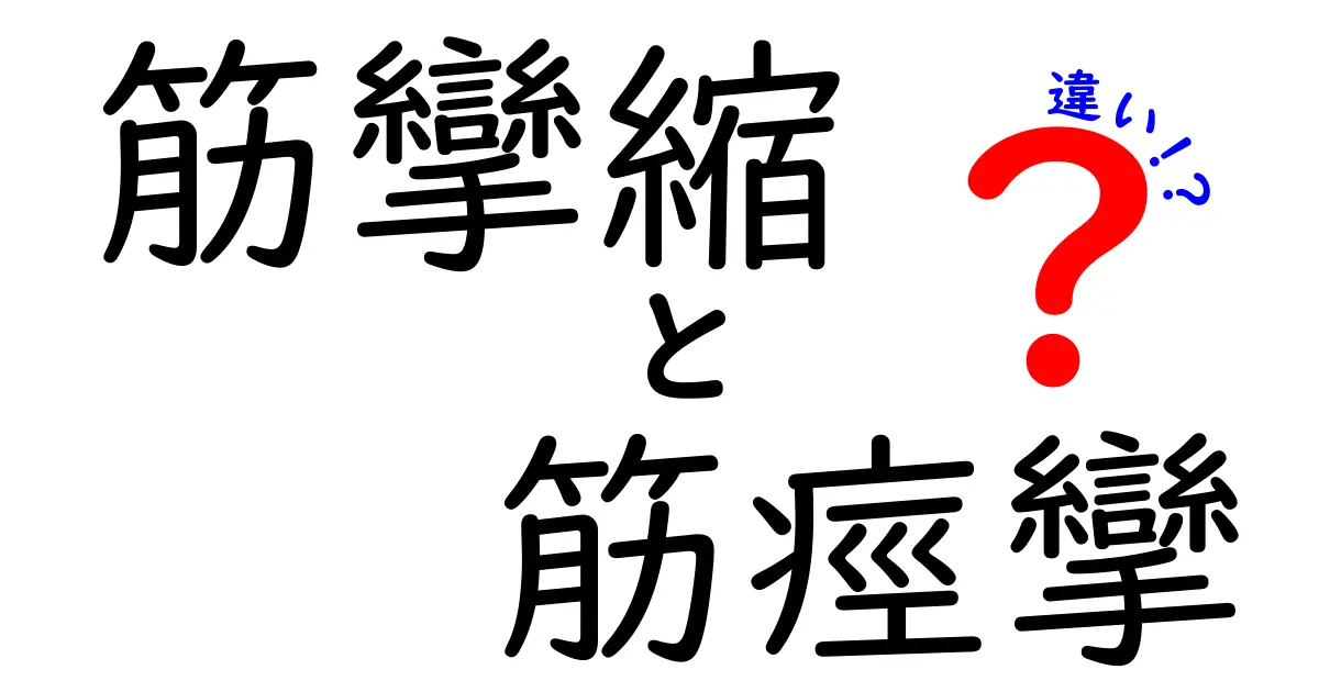 筋攣縮と筋痙攣の違いを徹底解説！見分け方と日常の対処法を中学生にもわかりやすく