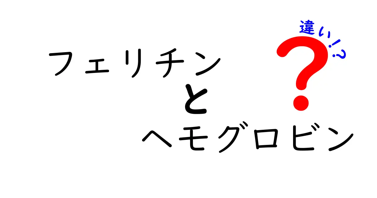 フェリチンとヘモグロビンの違いを徹底解説｜健康診断で差がつく基本ポイント