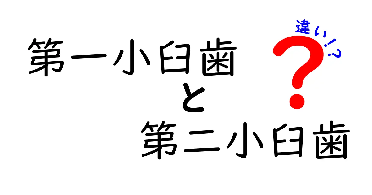 第一小臼歯と第二小臼歯の違いを徹底解説！見分け方と役割を中学生にも分かる図解