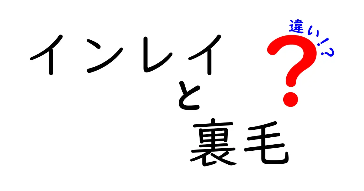 インレイと裏毛の違いを徹底解説 中学生にも分かる選び方と使い方