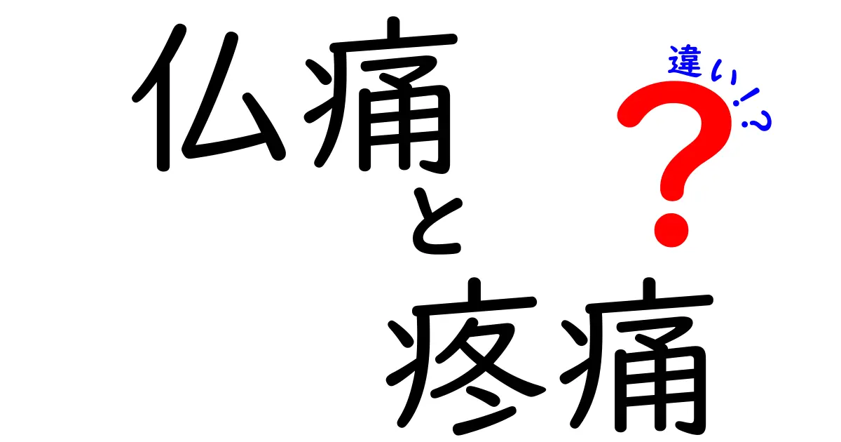 仏痛と疼痛の違いを徹底解説！中学生にも分かる痛みの言葉の正体と使い分け
