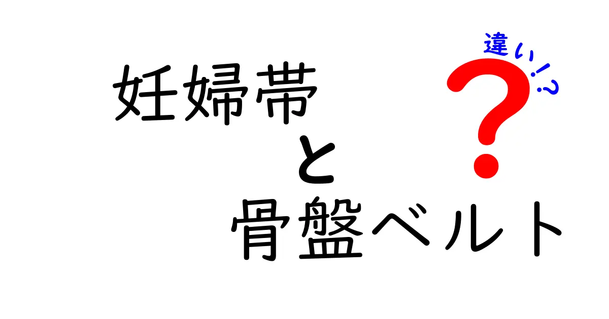 妊婦帯と骨盤ベルトの違いを徹底解説！妊娠中の腰痛対策はどっちを選ぶべき？
