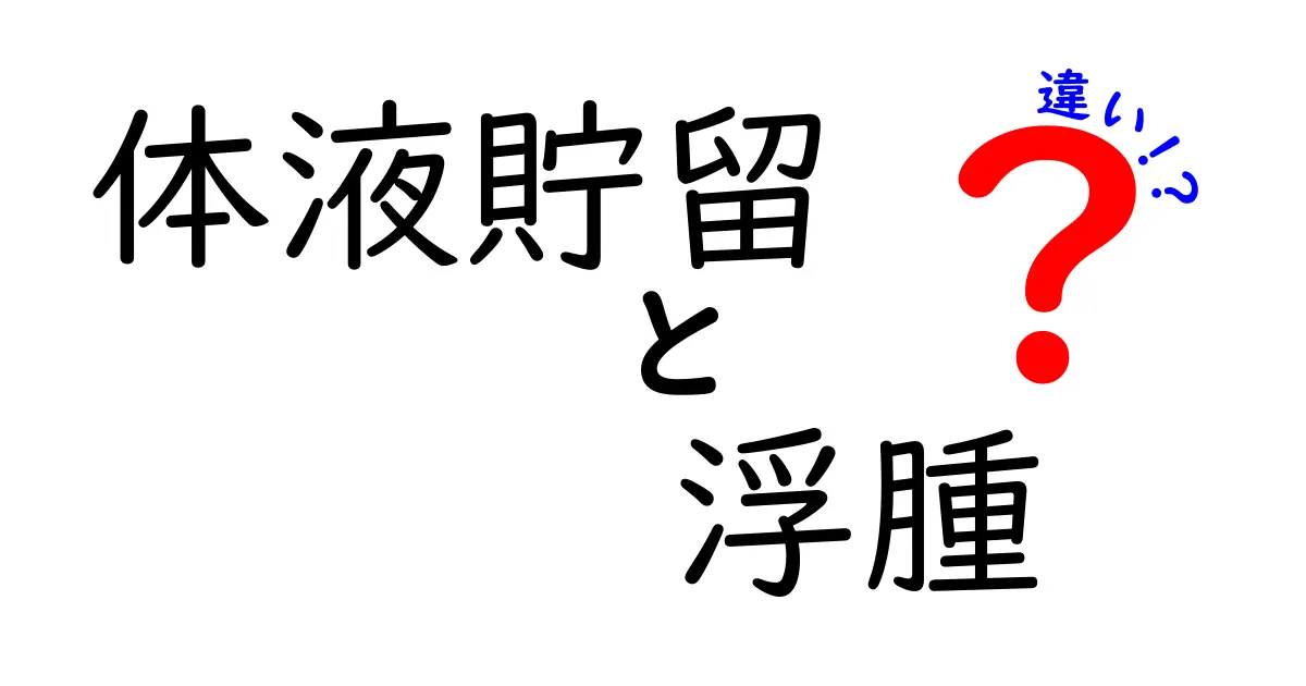 体液貯留と浮腫の違いとは？原因・見分け方・予防をわかりやすく解説