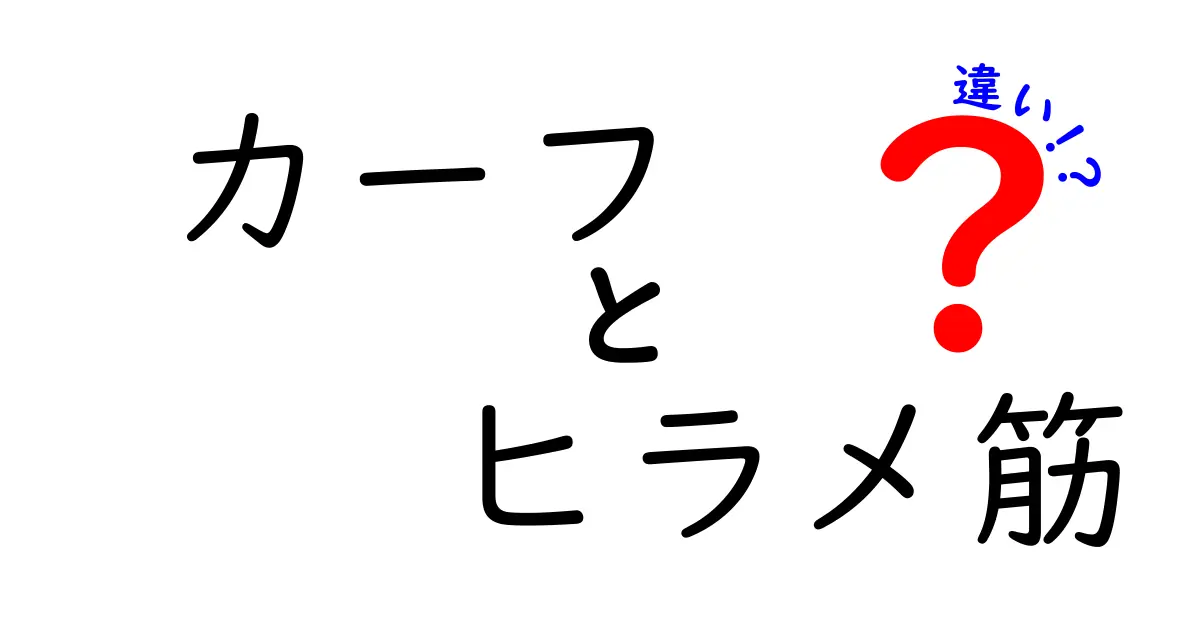 カーフとヒラメ筋の違いを徹底解説！日常動作とスポーツでの使い分けがよくわかる図解入り