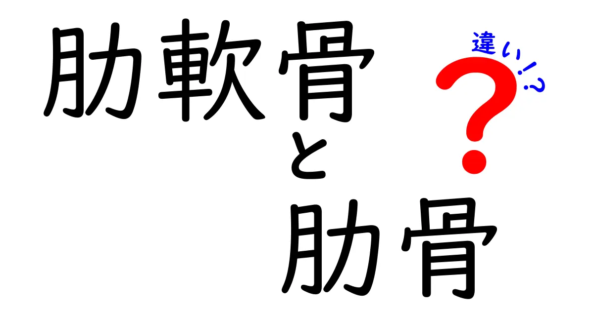 肋軟骨と肋骨の違いを徹底解説！中学生にもわかる図解で分かりやすく