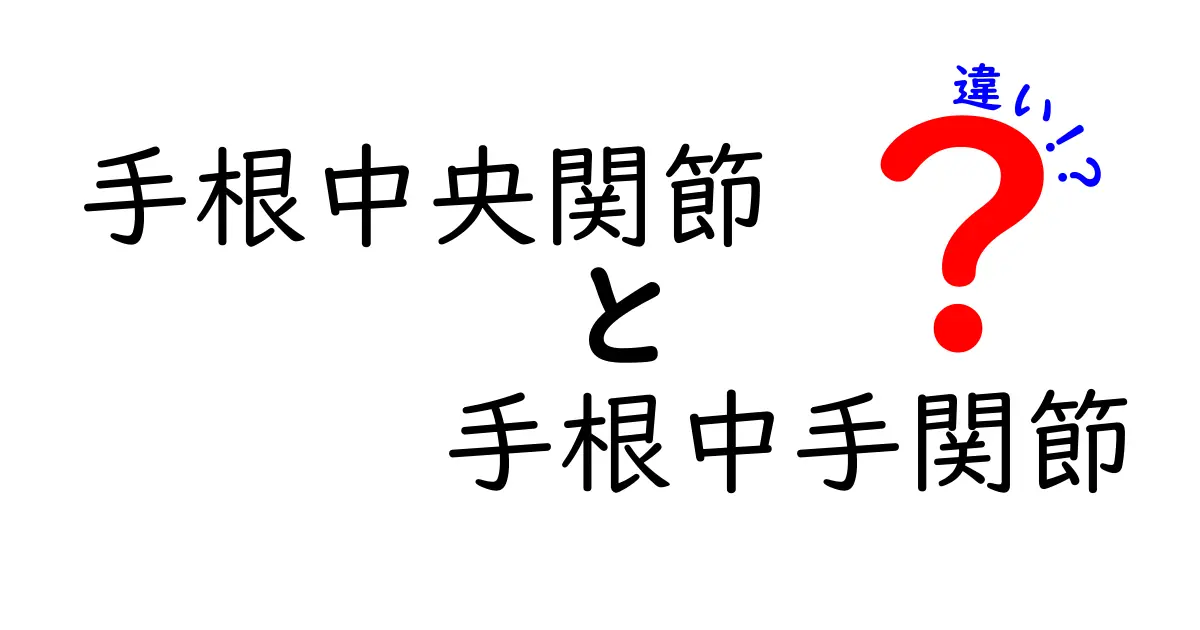 手根中央関節と手根中手関節の違いを徹底解説！痛みなく動く手首の秘密
