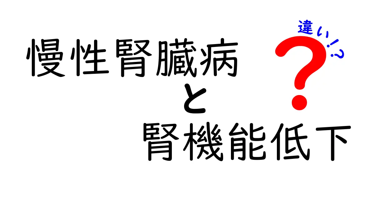 慢性腎臓病と腎機能低下の違いを知ろう：早期対策のためのポイントを分かりやすく解説