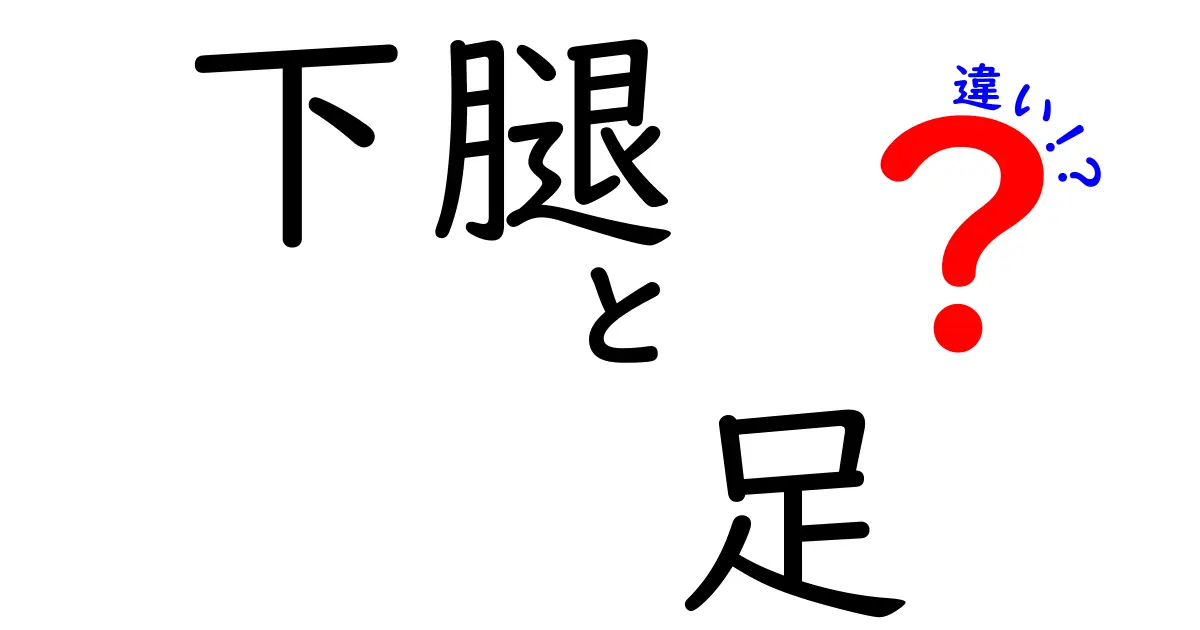 下腿と足の違いをわかりやすく解説！部位別の役割と見分け方