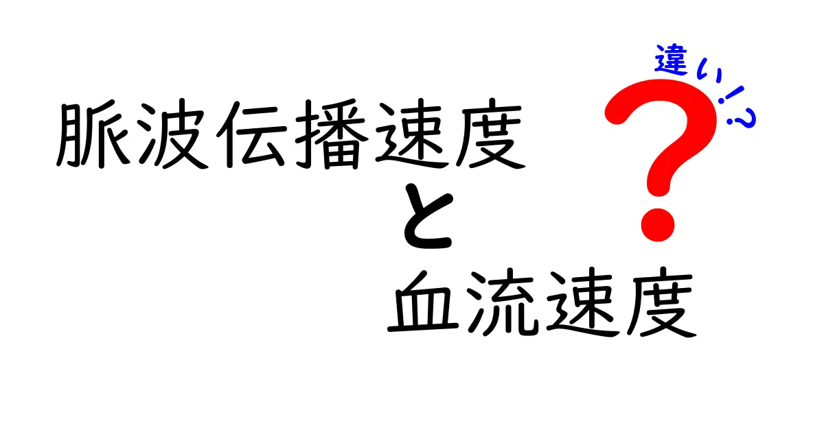 脈波伝播速度と血流速度の違いをやさしく解説！体の信号と血の流れをつなぐ2つの視点