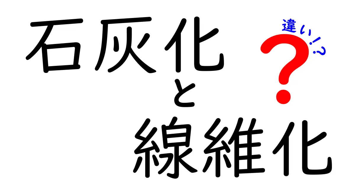 石灰化　線維化　違いをわかりやすく解説：病院でのサインを見抜くポイント