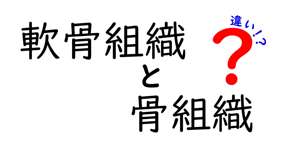 軟骨組織と骨組織の違いを徹底解説：体のしくみを知って日常の健康につなげる