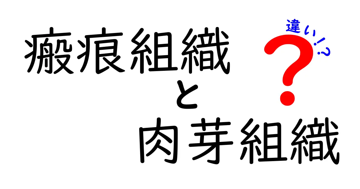 瘢痕組織と肉芽組織の違いを徹底解説｜どこがどう違うのかをわかりやすく