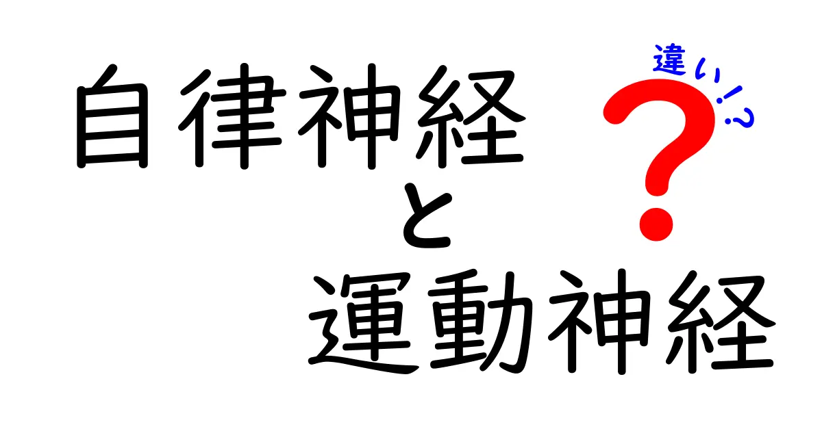 自律神経と運動神経の違いを徹底解説！中学生にもわかるやさしいポイント
