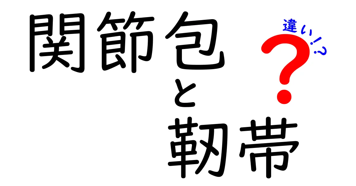 関節包と靭帯の違いをわかりやすく解説！しくみから役割まで徹底比較