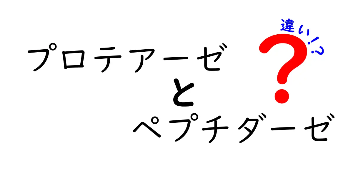 プロテアーゼとペプチダーゼの違いを徹底解説：働き・分子レベル・生活への影響を中学生にもわかりやすく