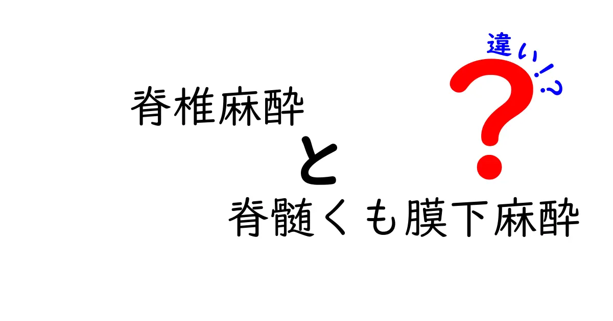 脊椎麻酔と脊髄くも膜下麻酔の違いを徹底解説｜この2つの違いを中学生にもわかる言葉で解く