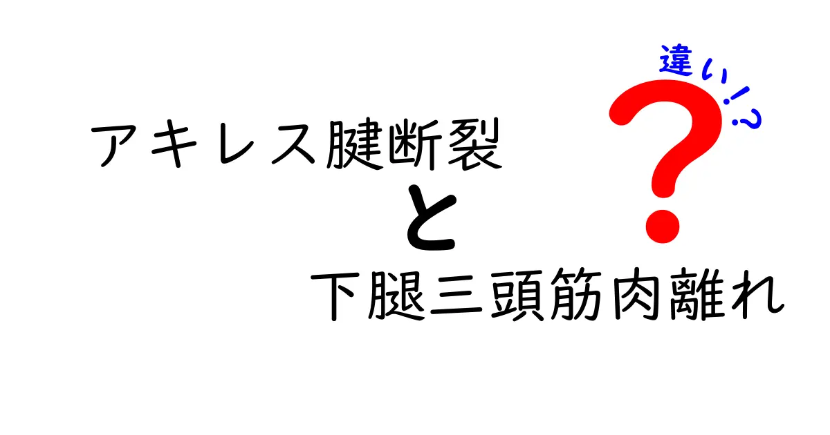 アキレス腱断裂と下腿三頭筋肉離れの違いを徹底解説｜痛みの場所と治療の見分け方を中学生にもわかるように