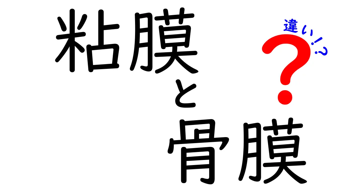 粘膜と骨膜の違いを徹底解説！中学生にもわかるポイントと実例