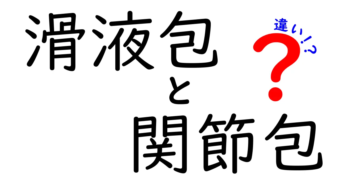 滑液包と関節包の違いを徹底解説！痛みの正体を見抜く基本ガイド