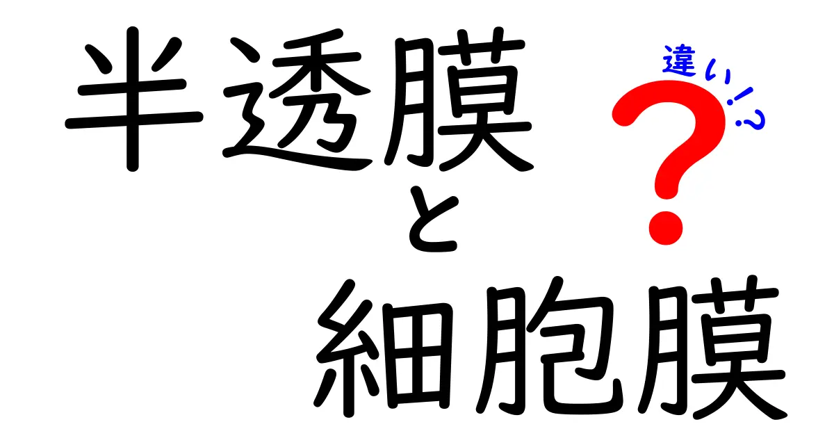 半透膜と細胞膜の違いを徹底解説！仕組みと役割をわかりやすく比較