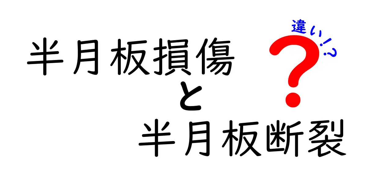 半月板損傷と半月板断裂の違いを徹底比較！意味・原因・治療・予防を中学生にもわかる言葉で