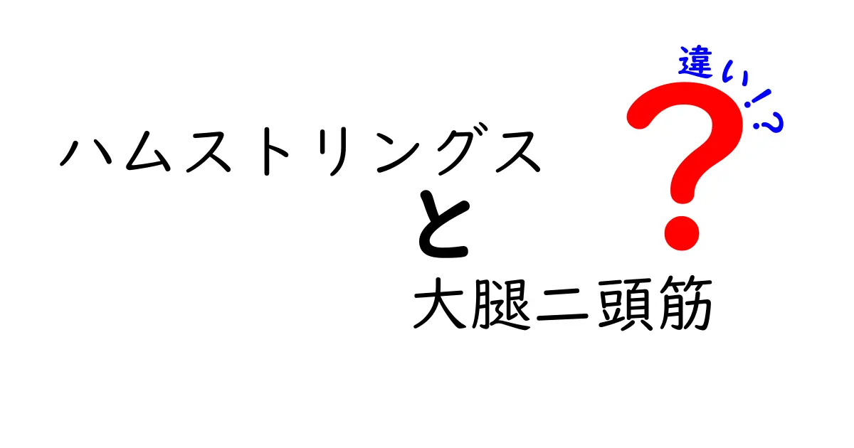 ハムストリングス　大腿二頭筋　違いを徹底解説！この2つの筋肉を正しく知ると怪我予防とトレーニングが変わる