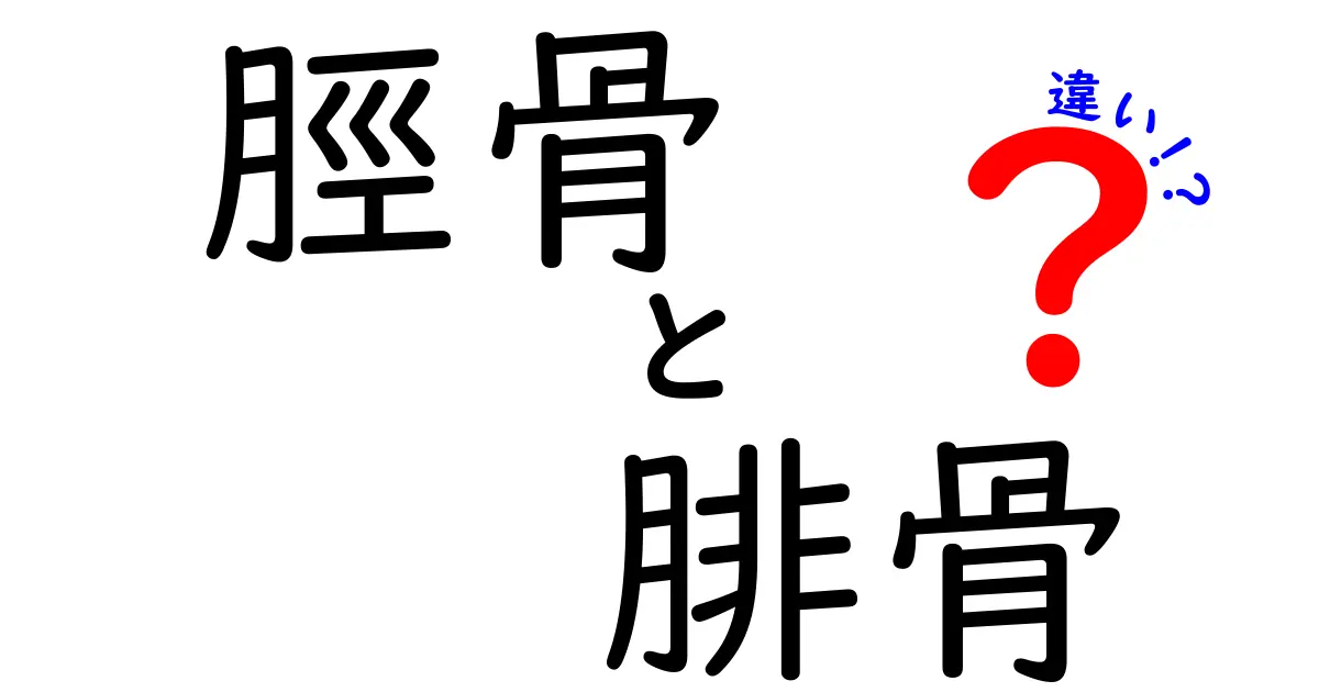 脛骨と腓骨の違いを徹底解説！中学生にも分かる見分け方と使い分けのコツ