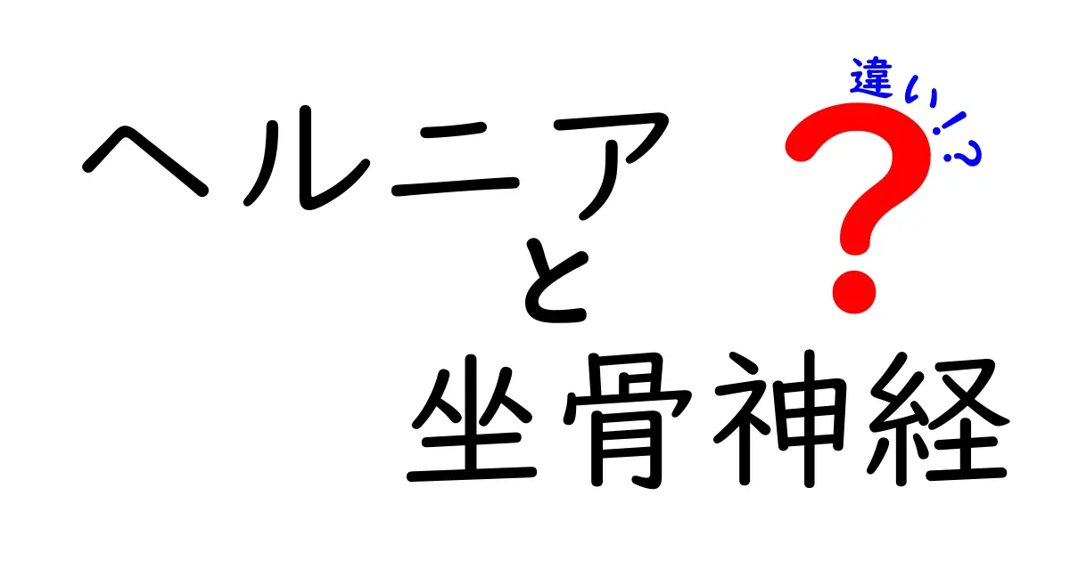 ヘルニアと坐骨神経痛の違いを正しく理解しよう！痛みの原因と見分け方を中学生にもわかる図解