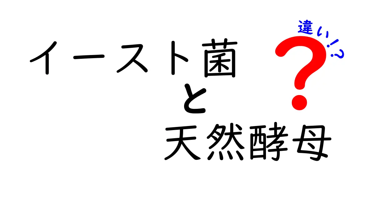 イースト菌と天然酵母の違いを徹底解説｜パンづくり初心者にも分かる見分け方