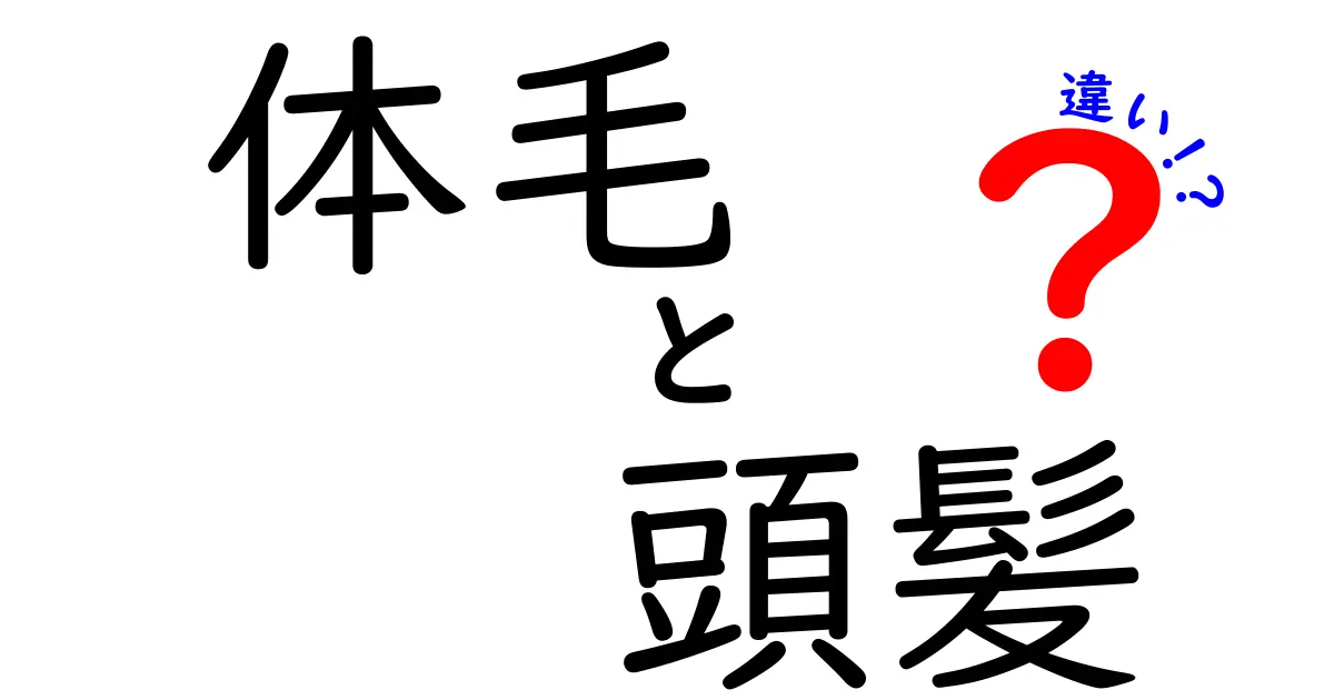 体毛と頭髪の違いを徹底解説！どこがどう違うのか中学生にも分かるポイント