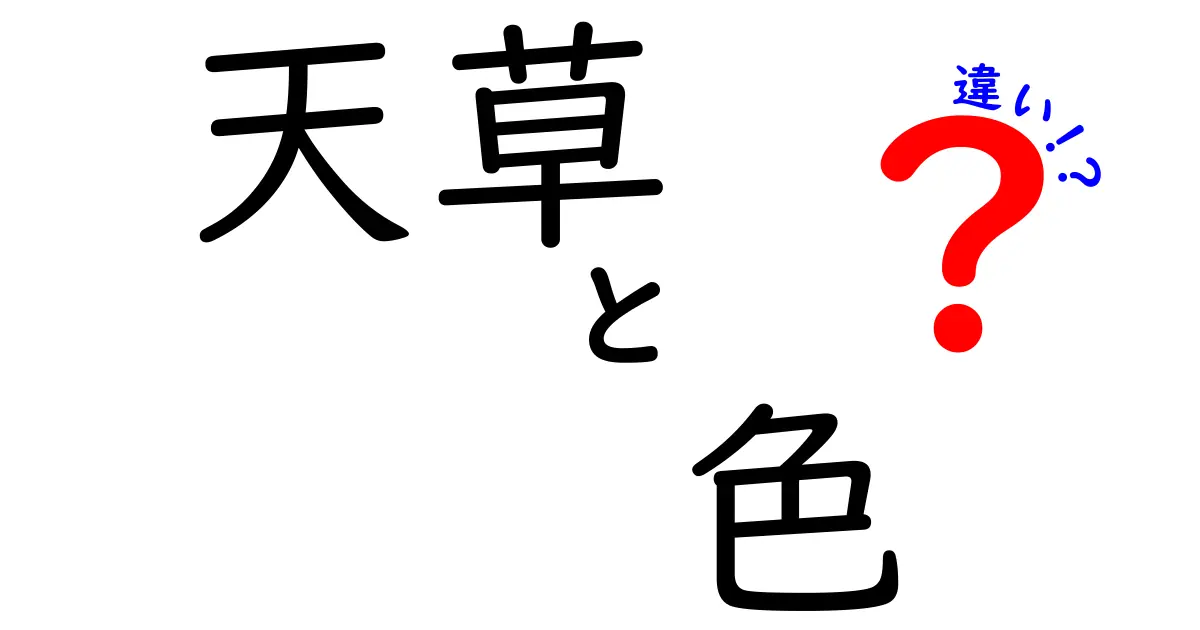 天草の色の違いを解き明かす！海の色が変わる理由と見分け方
