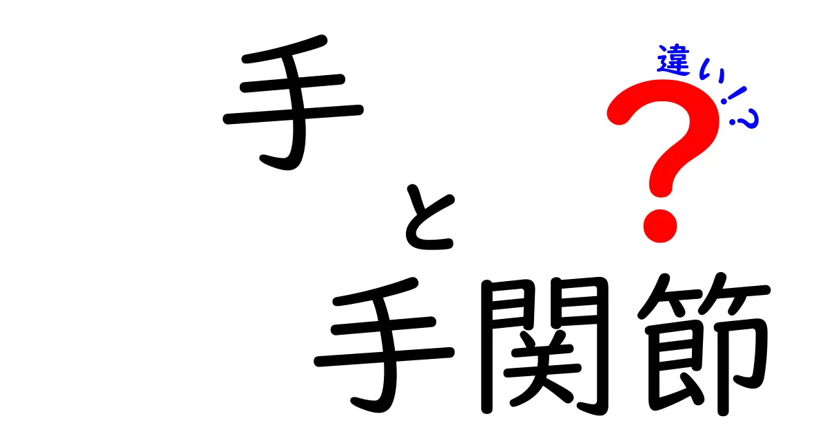 手と手関節の違いを完全解説！中学生にもわかる図解つきの基礎知識