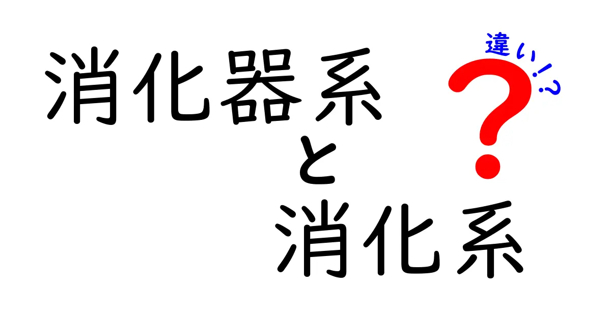 消化器系と消化系の違いを徹底解説！中学生にも分かる仕組みと役割の違い