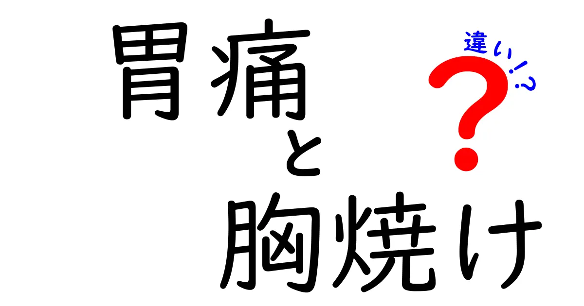胃痛と胸焼けの違いを徹底解説｜見分け方と対処法を分かりやすく解説