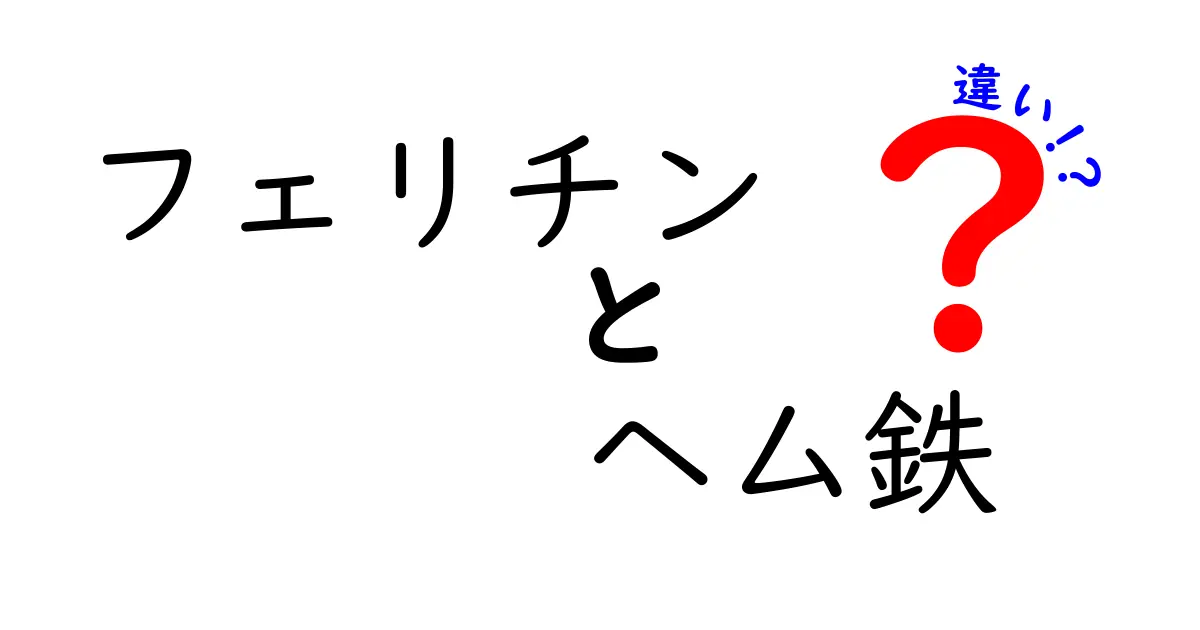 フェリチンとヘム鉄の違いを徹底解説 – 知っておきたいポイントと吸収の秘密