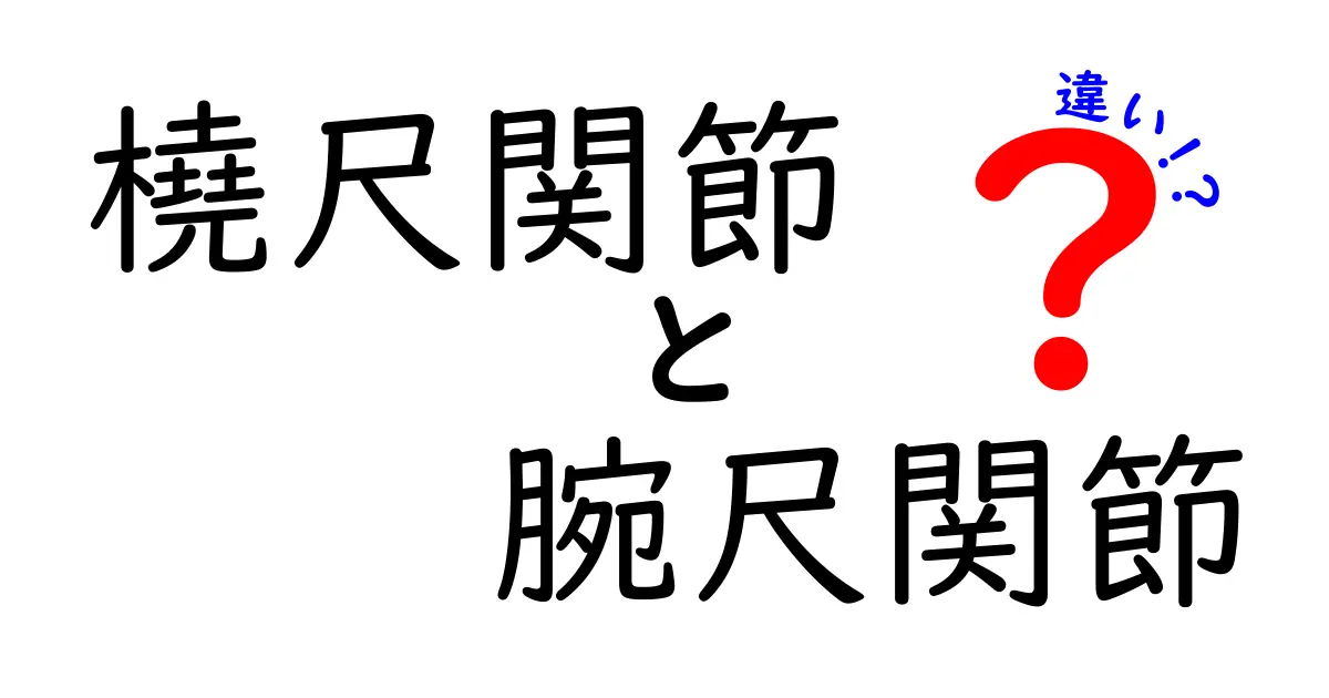 橈尺関節と腕尺関節の違いを完全ガイド｜中学生にもわかる前腕のしくみ