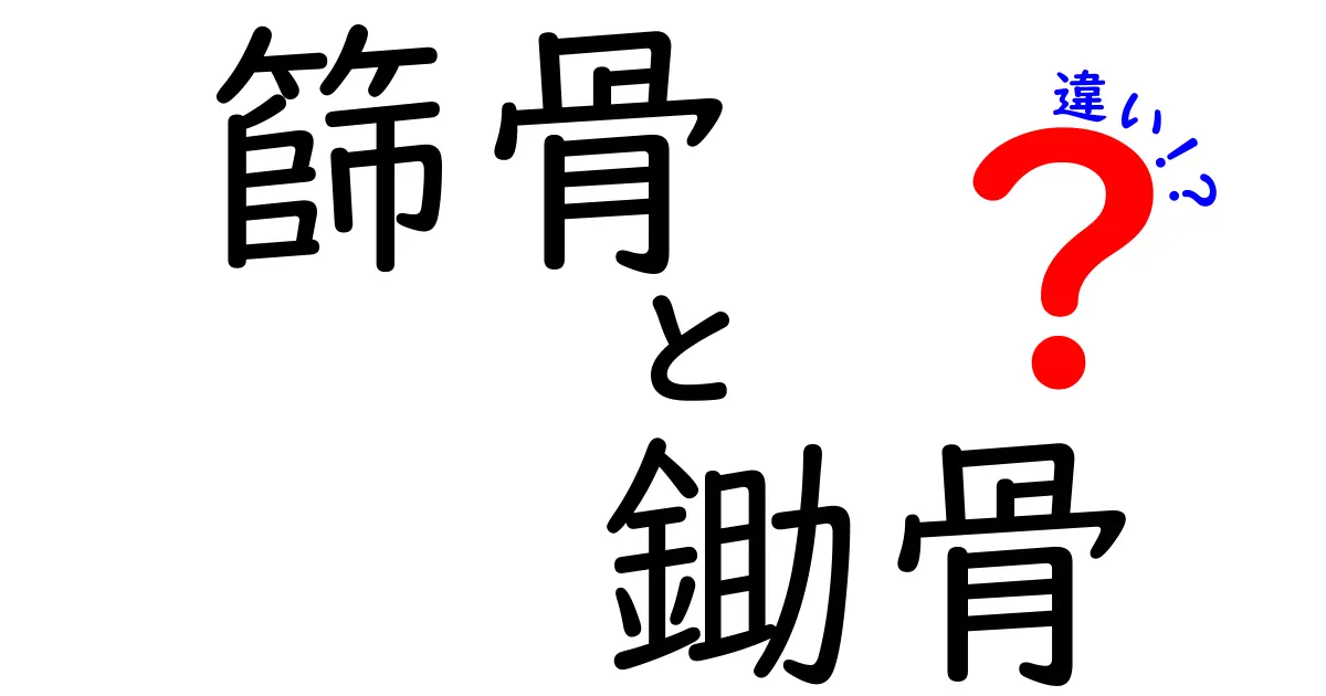 篩骨と鋤骨の違いをわかりやすく解説｜鼻の骨と頭蓋の側面を理解しよう